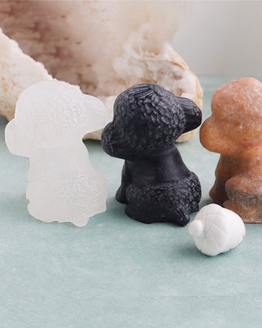 ちいさなもこもこ| トイプードル ストーン