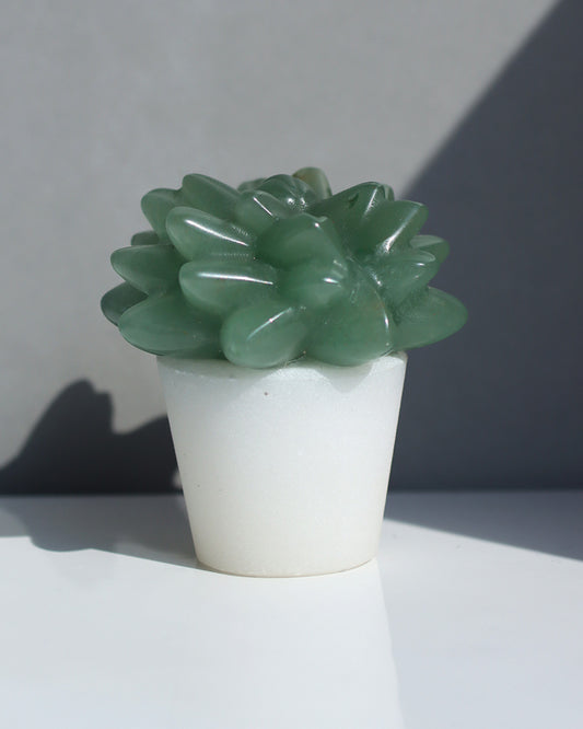 窓際の静けさ | 鉢植え ストーン