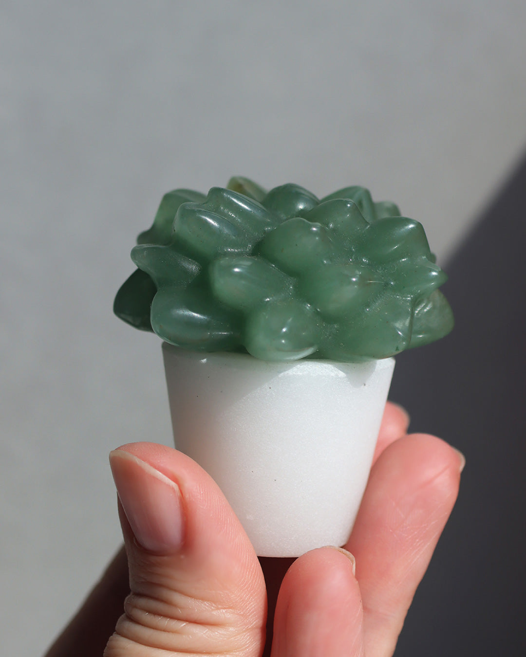 窓際の静けさ | 鉢植え ストーン