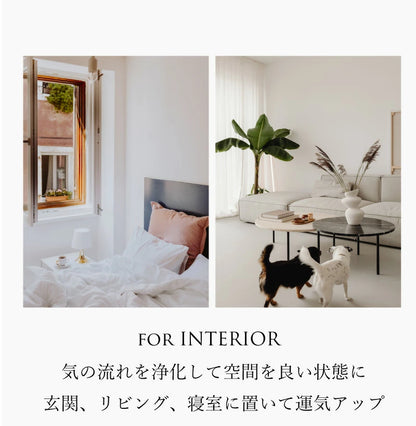 ぶどうのひとしずく | アメジストさざれ石