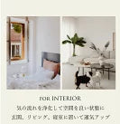 あしたのまなざし | シトリン さざれ石