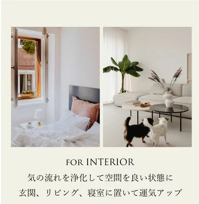 あしたのまなざし | シトリン さざれ石