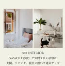 桃色の祈り | ローズクォーツ さざれ石