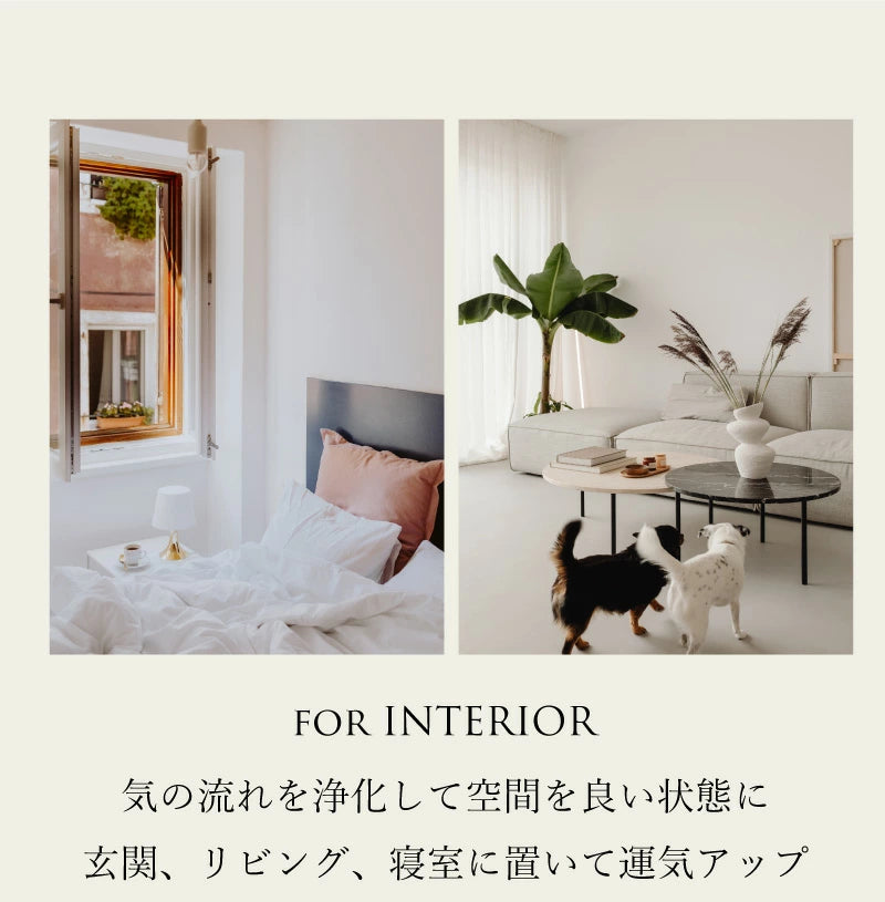 うまれかけのいろ | フローライトさざれ石