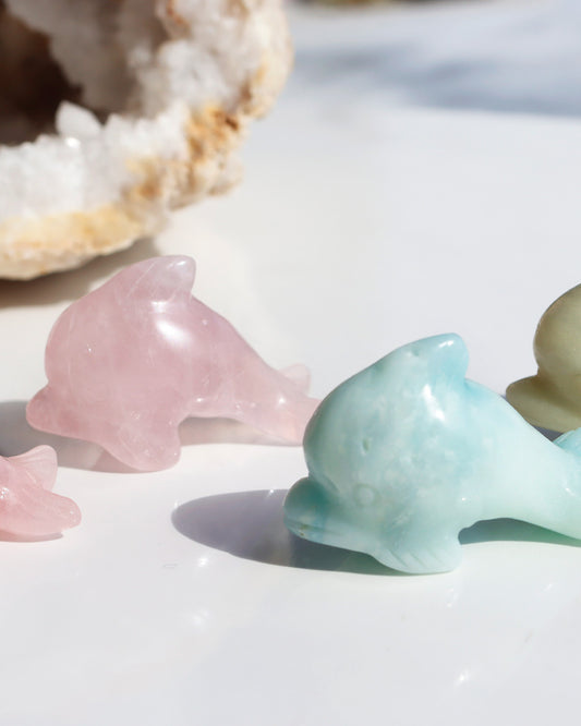 波間のダンス | いるかストーン