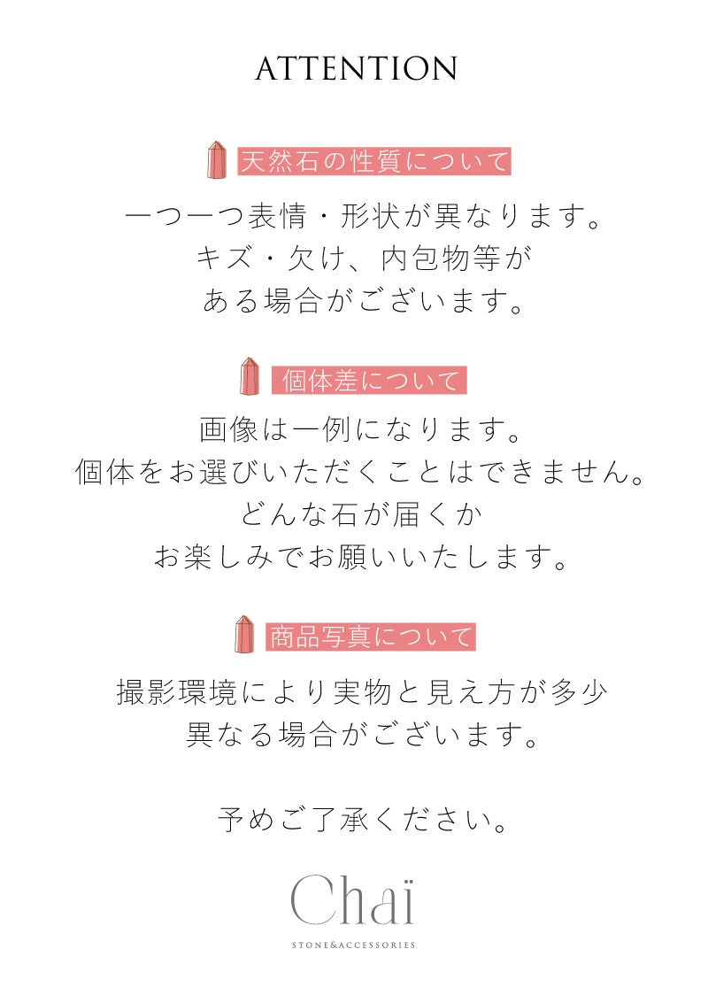 てのひらディノ | 恐竜 ストーン