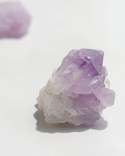 アメジスト紫晶牙