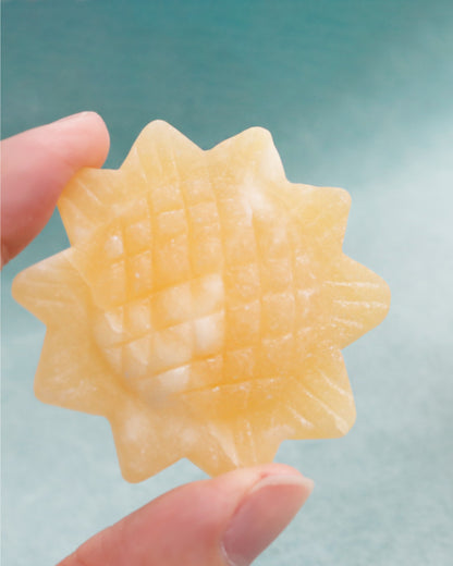 ひかりの種 | ひまわり ストーン