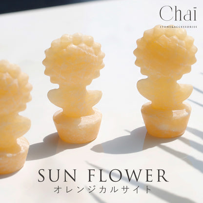 ひまわり通り | 鉢植えひまわりストーン