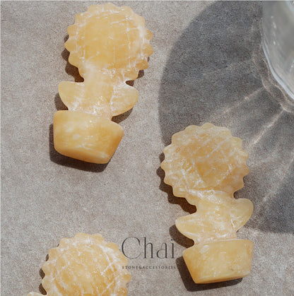 ひまわり通り | 鉢植えひまわりストーン