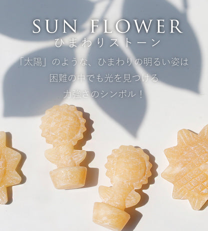 ひまわり通り | 鉢植えひまわりストーン