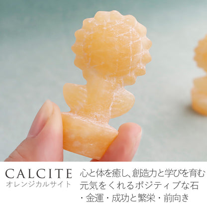 ひまわり通り | 鉢植えひまわりストーン