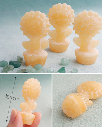 ひまわり通り | 鉢植えひまわりストーン