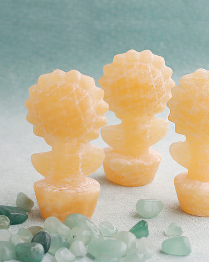 ひまわり通り | 鉢植えひまわりストーン