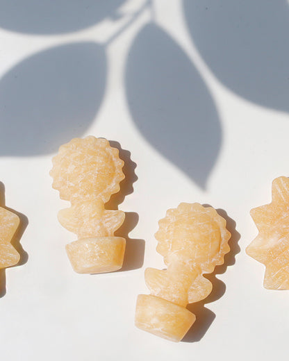 ひまわり通り | 鉢植えひまわりストーン