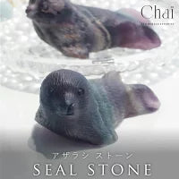 オーロラに包まれて | アザラシ ストーン