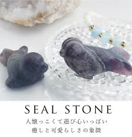 オーロラに包まれて | アザラシ ストーン