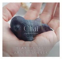 オーロラに包まれて | アザラシ ストーン