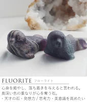 オーロラに包まれて | アザラシ ストーン