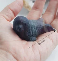 オーロラに包まれて | アザラシ ストーン