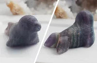 オーロラに包まれて | アザラシ ストーン