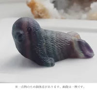 オーロラに包まれて | アザラシ ストーン