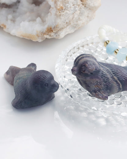 オーロラに包まれて | アザラシ ストーン