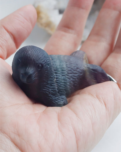 オーロラに包まれて | アザラシ ストーン