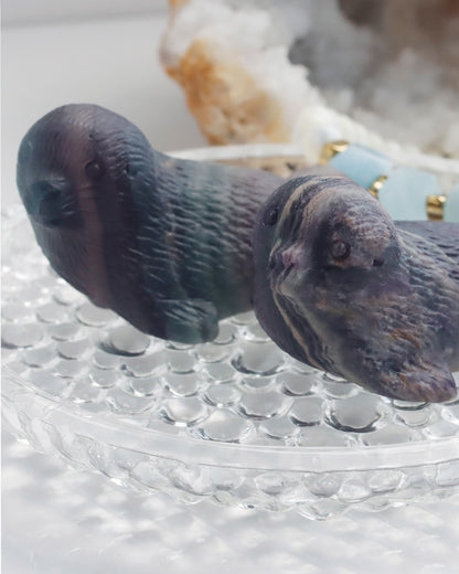 オーロラに包まれて | アザラシ ストーン