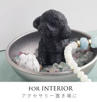 ちいさなもこもこ| トイプードル ストーン