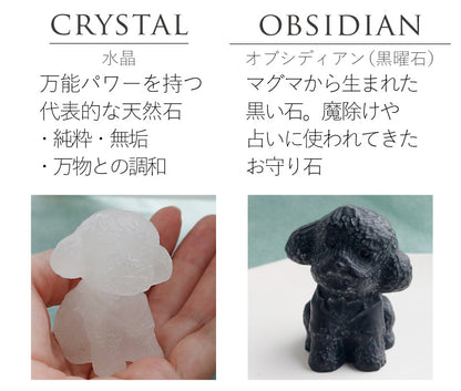 ちいさなもこもこ| トイプードル ストーン
