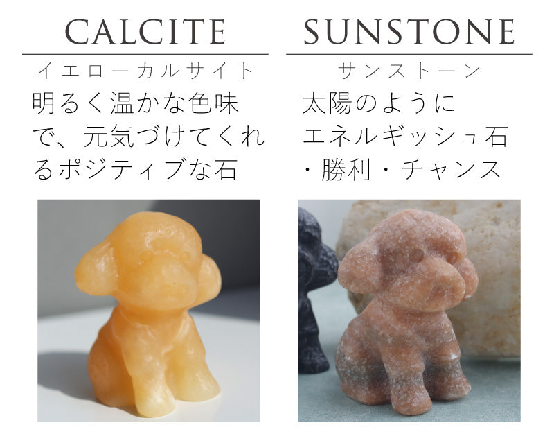 ちいさなもこもこ| トイプードル ストーン