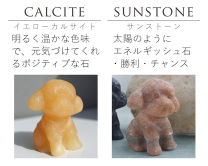 ちいさなもこもこ| トイプードル ストーン