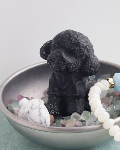 ちいさなもこもこ| トイプードル ストーン