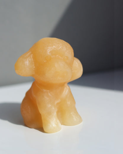 ちいさなもこもこ| トイプードル ストーン
