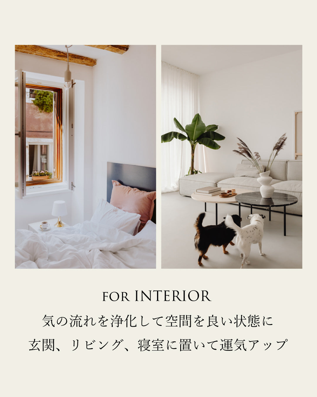 集めたひだまり|  サンストーンさざれ石
