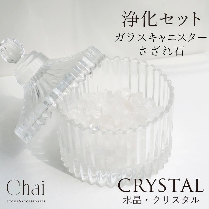 キャニスター 浄化セット
