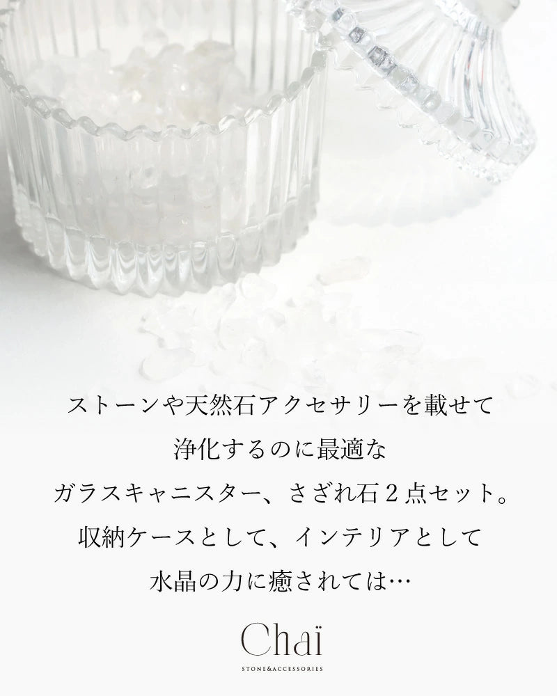 キャニスター 浄化セット