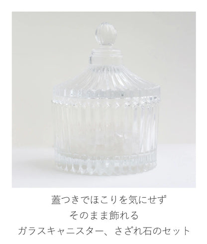 キャニスター 浄化セット