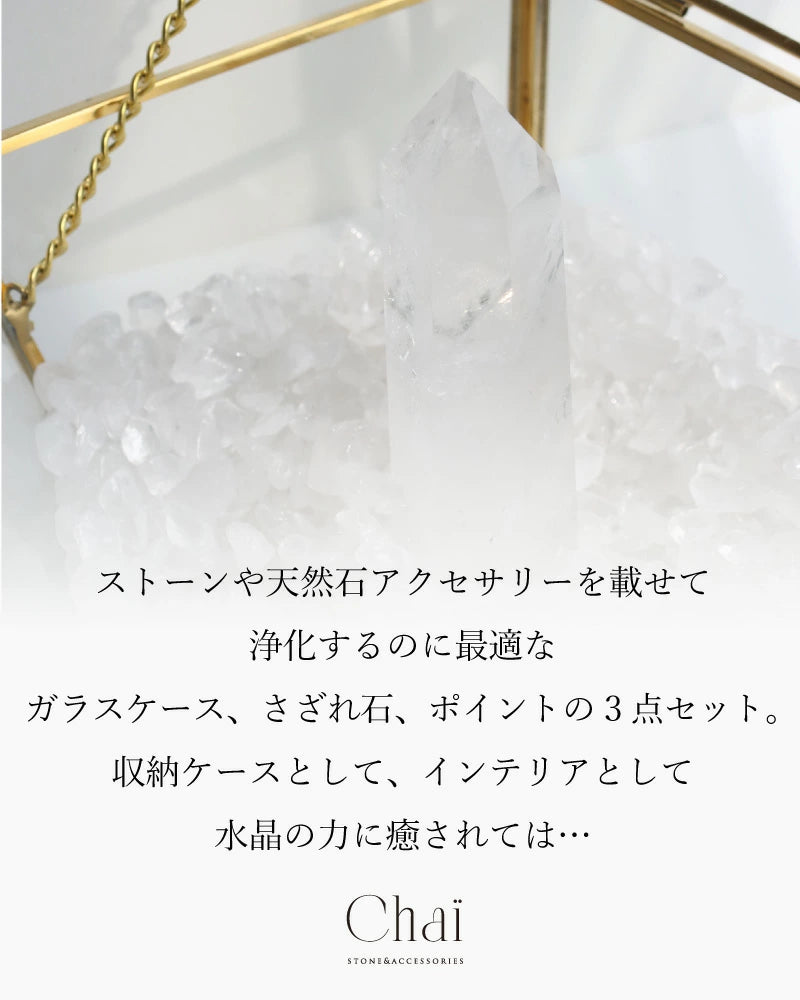 浄化セット(大)