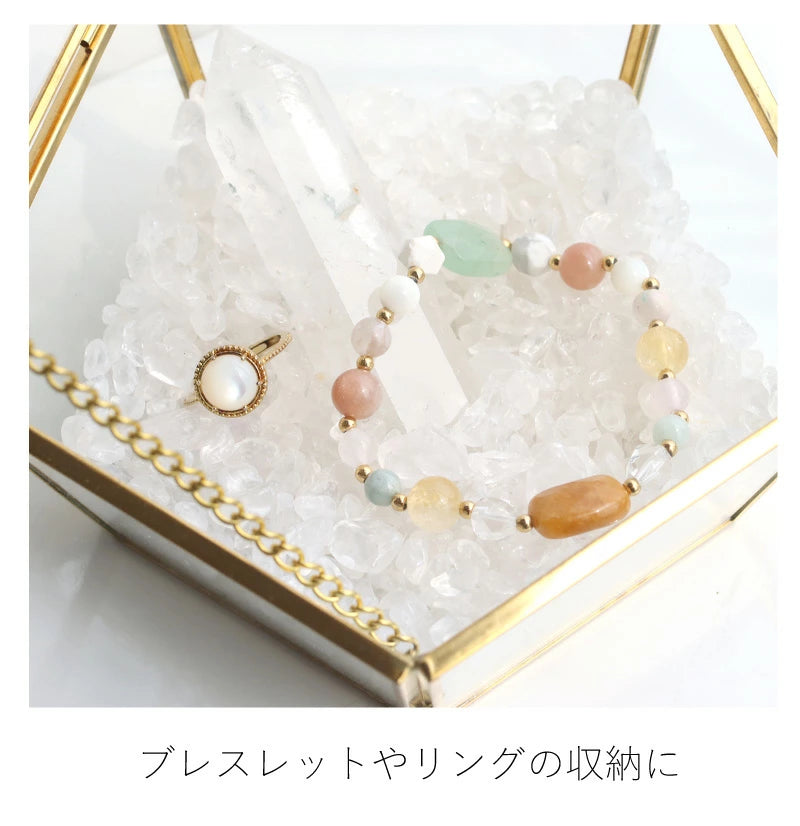 浄化セット(大)