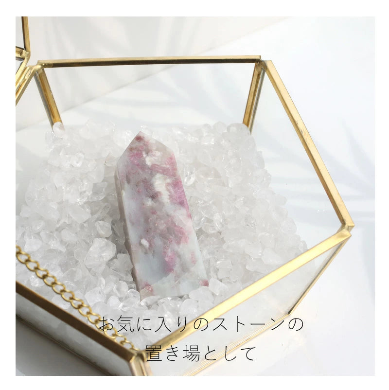 浄化セット(大)