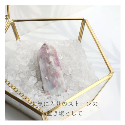 浄化セット(大)
