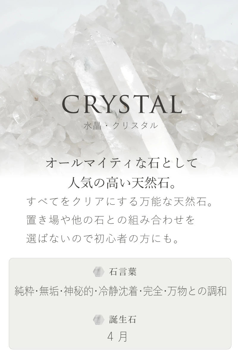 浄化セット(大)