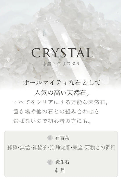 浄化セット(大)