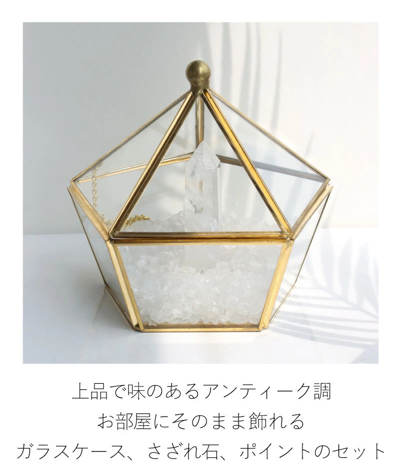 浄化セット(大)