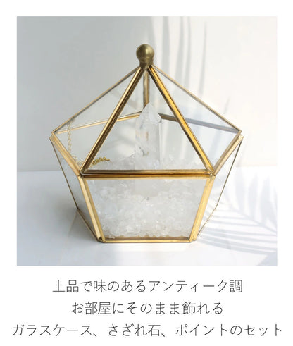 浄化セット(大)