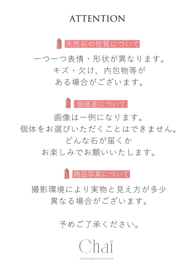 潮風の気配 | 貝殻 ストーン