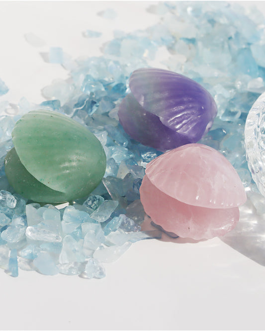 潮風の気配 | 貝殻 ストーン