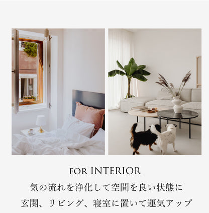 想いを結ぶ宝箱 | リボンガラスケース